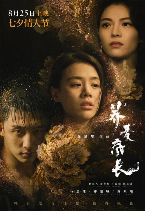 大学本科学位证书补发